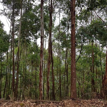 A Farm Stay - Casablanca'S Private Cottage,No Loadshedding! Hazyview Ngoại thất bức ảnh