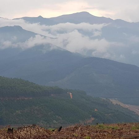 A Farm Stay - Casablanca'S Private Cottage,No Loadshedding! Hazyview Ngoại thất bức ảnh