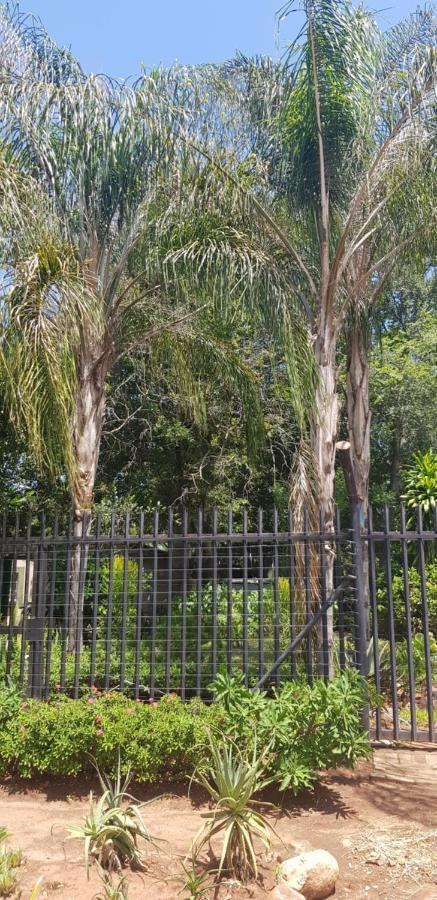 A Farm Stay - Casablanca'S Private Cottage,No Loadshedding! Hazyview Ngoại thất bức ảnh